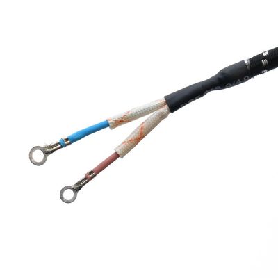 Standard Grounding Power Cord Extension Cord Plug for Electric Iron Kettle 2 Pin Braided Rated Current 10A-16A